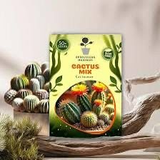 Mixed Cactus Seeds